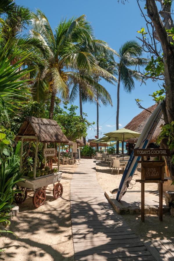 Hotel Casa Colibri Πλάγια Ντελ Κάρμεν Εξωτερικό φωτογραφία