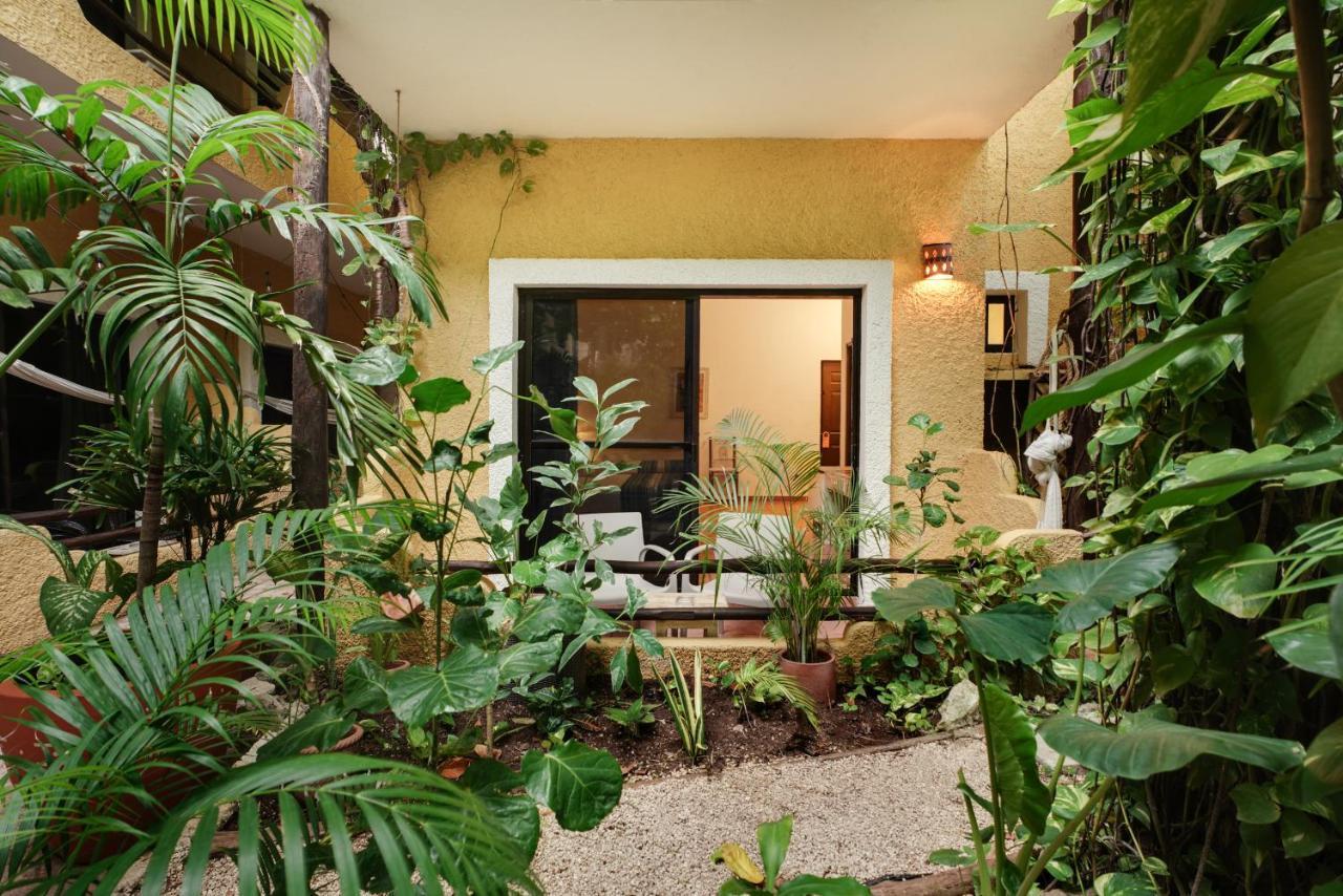 Hotel Casa Colibri Πλάγια Ντελ Κάρμεν Εξωτερικό φωτογραφία