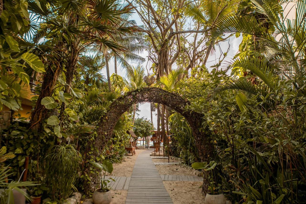 Hotel Casa Colibri Πλάγια Ντελ Κάρμεν Εξωτερικό φωτογραφία