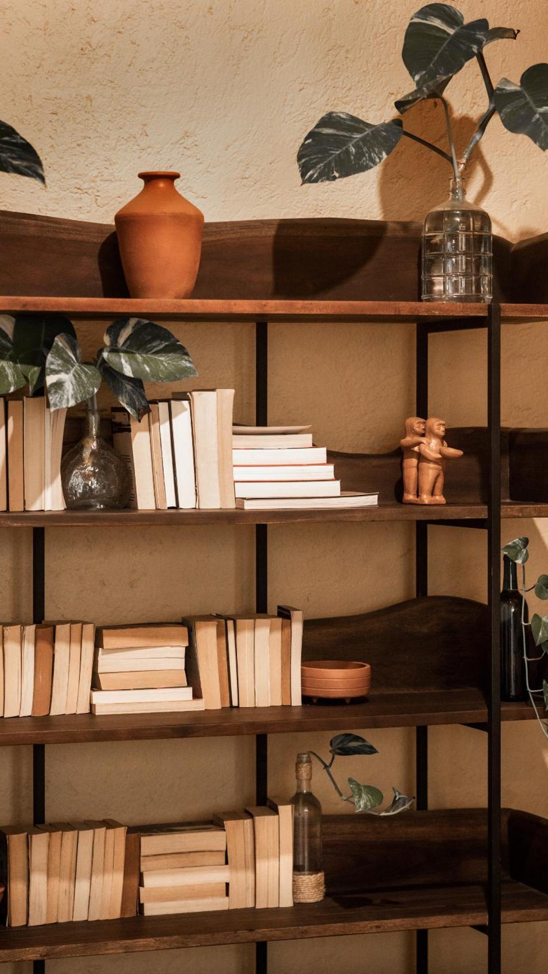 Hotel Casa Colibri Πλάγια Ντελ Κάρμεν Εξωτερικό φωτογραφία