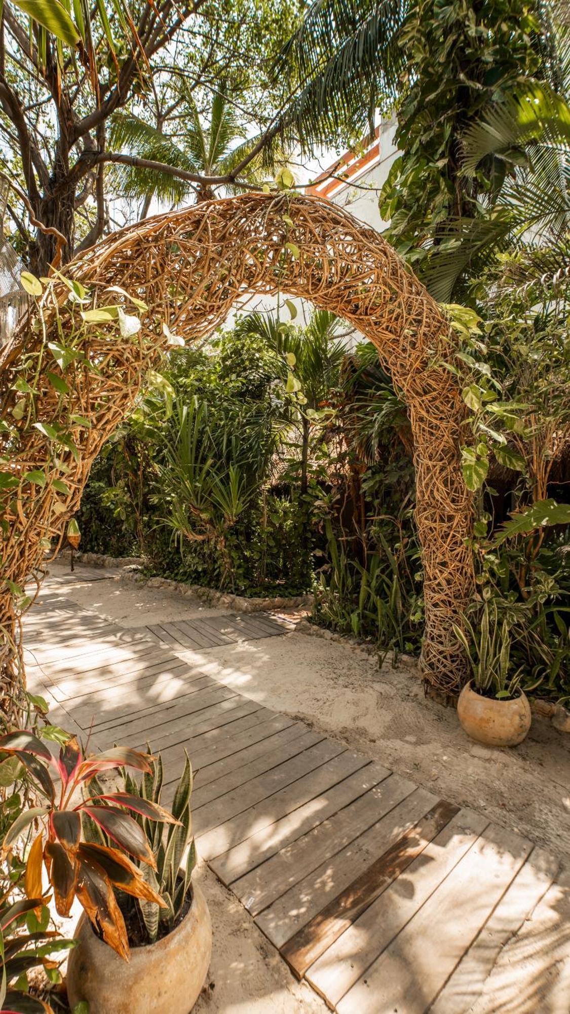 Hotel Casa Colibri Πλάγια Ντελ Κάρμεν Εξωτερικό φωτογραφία