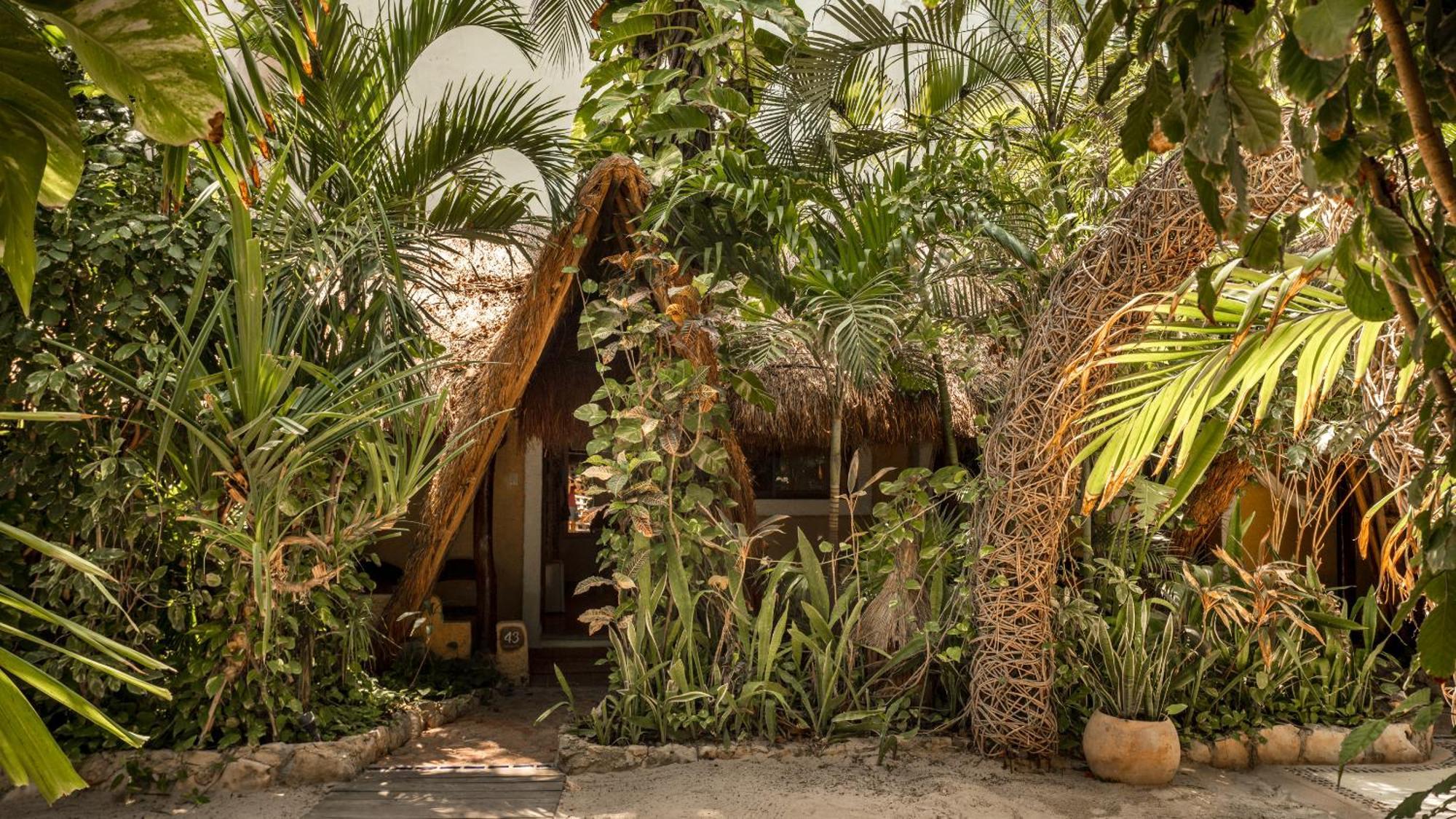 Hotel Casa Colibri Πλάγια Ντελ Κάρμεν Εξωτερικό φωτογραφία