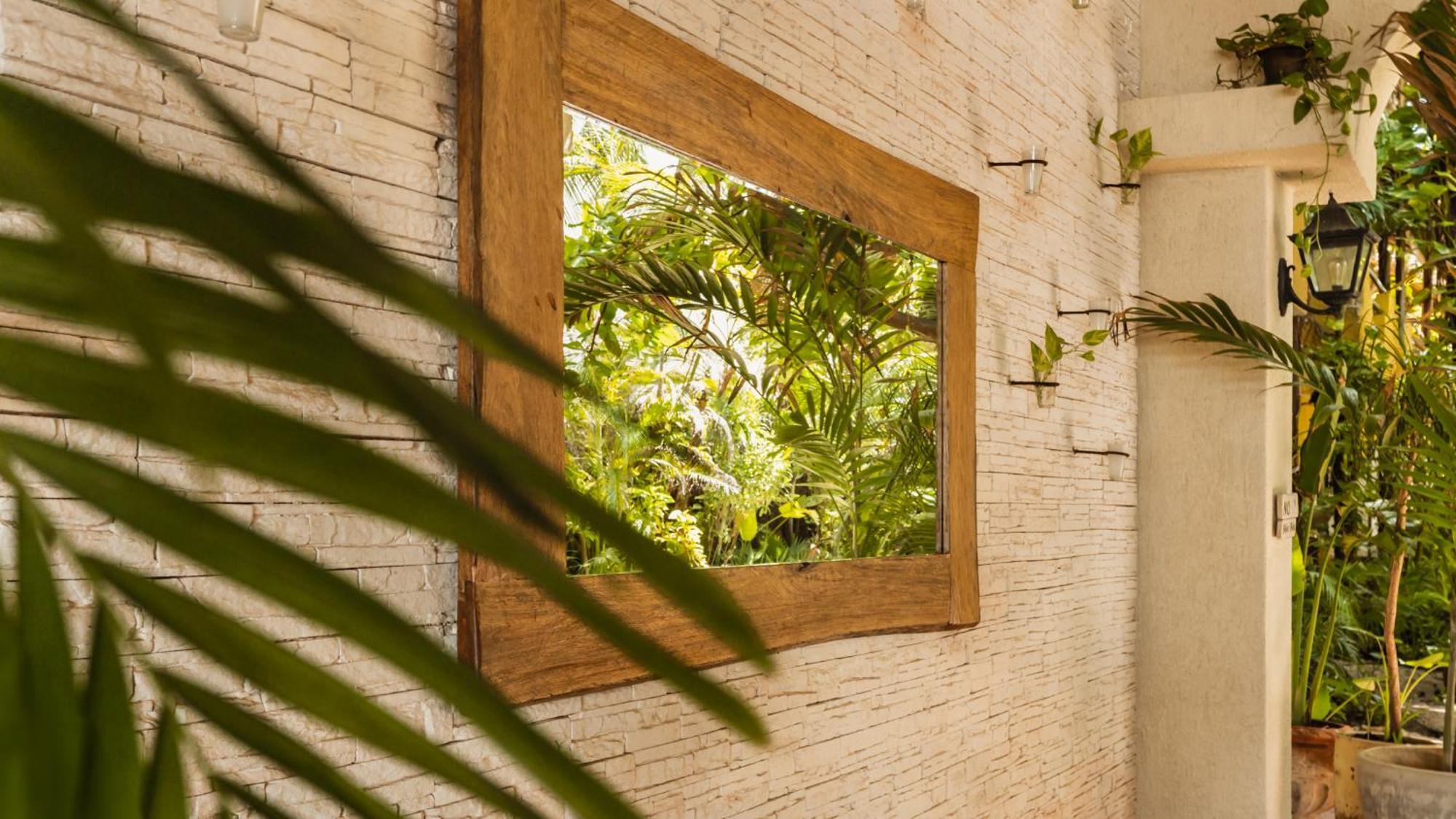 Hotel Casa Colibri Πλάγια Ντελ Κάρμεν Εξωτερικό φωτογραφία