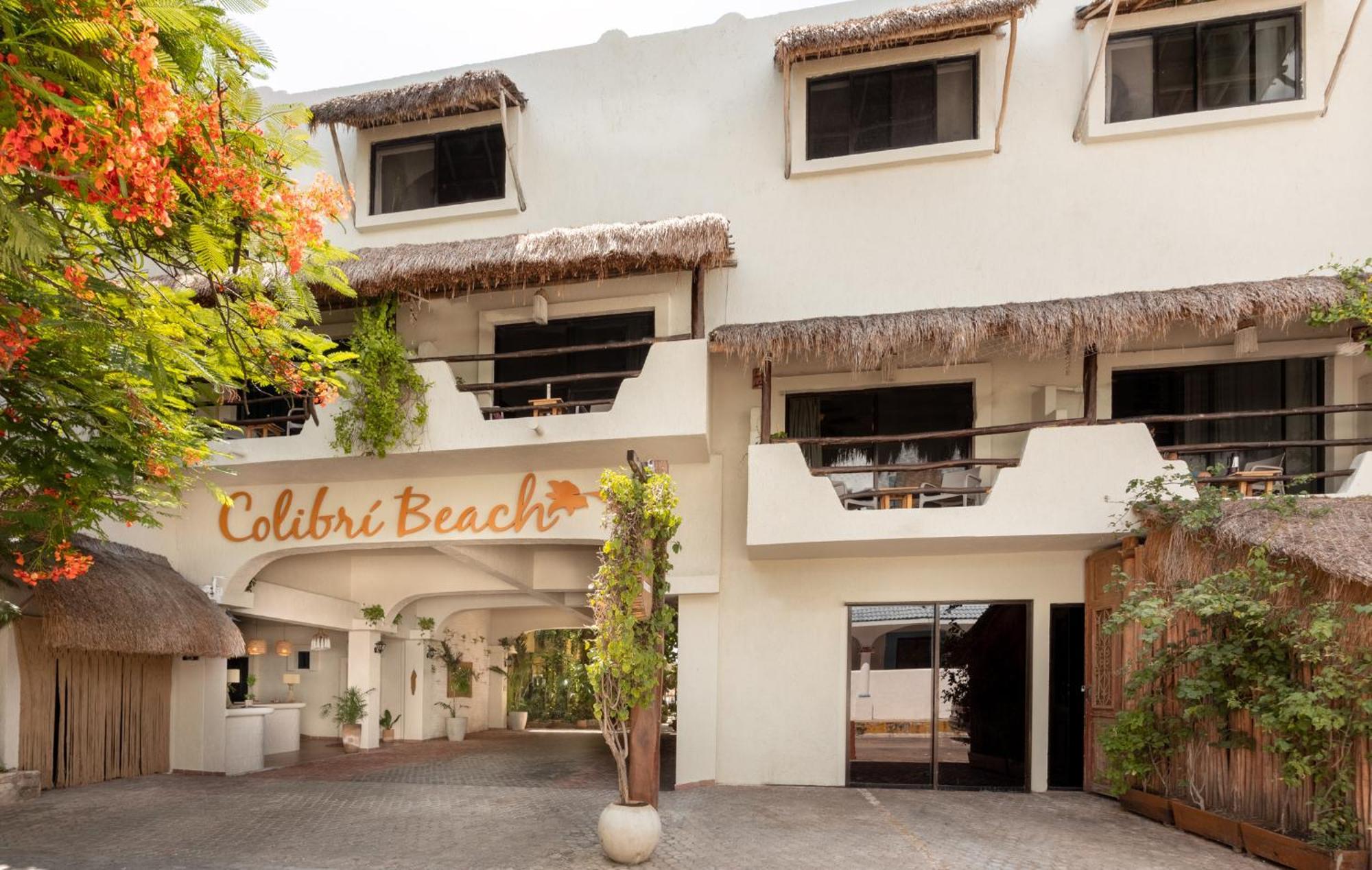 Hotel Casa Colibri Πλάγια Ντελ Κάρμεν Εξωτερικό φωτογραφία
